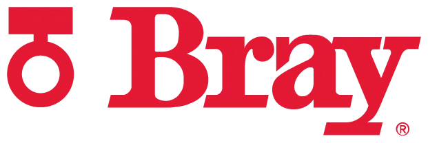 Logotipo da Bray International