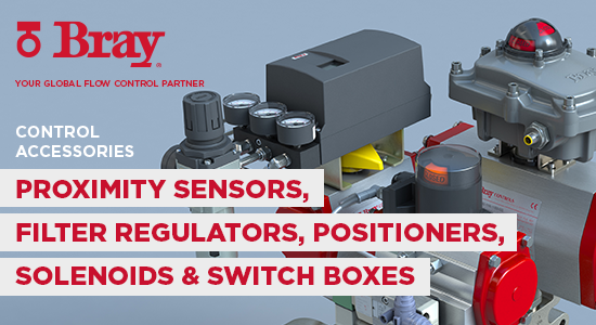 Controls: Positioners, Limit Switches, Proximity Sensors | Bray