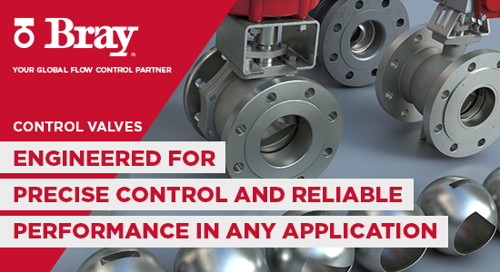 Control Valves | Bray International